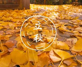 下载.jpg